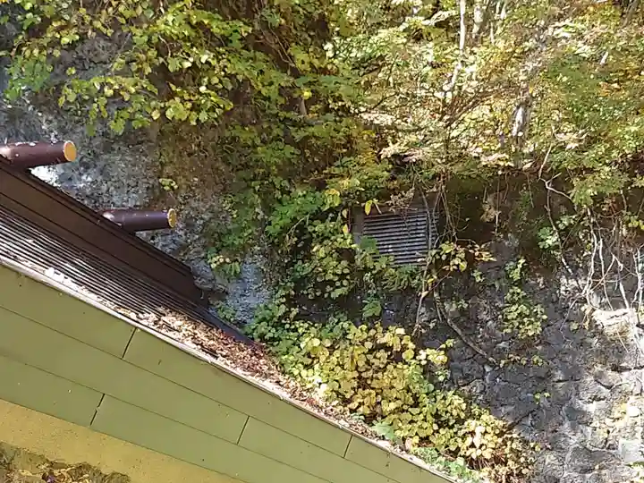 戸隠神社奥社(長野県)