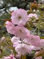 淡嶋神社の{uncategorized: "未分類", other: "その他", undefined: "問題あり", building: "その他建物", grave: "お墓", sacred_gate: "鳥居", guardian: "狛犬", statue: "像", buddha: "仏像", history: "歴史", nature: "自然", garden: "庭園", animal: "動物", pagoda: "塔", temizu: "手水舎", mountain_gate: "山門・神門", sanctuary: "本殿・本堂", subordinate: "末社・摂社", art: "芸術", scenery: "景色", jizo: "地蔵", ema: "絵馬", goshuin: "御朱印", omikuji: "おみくじ", items: "授与品その他", amulet: "お守り", goshuincho: "御朱印帳", eats: "食事", festival: "お祭り", votive_dance: "神楽", shichigosan: "七五三参", wedding: "結婚式", experience: "体験その他", initially: "初詣", around: "周辺", anti_infection: "感染症対策"}
