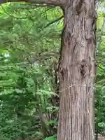厚別神社(北海道)