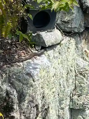 りゅうごん様(岡山県)