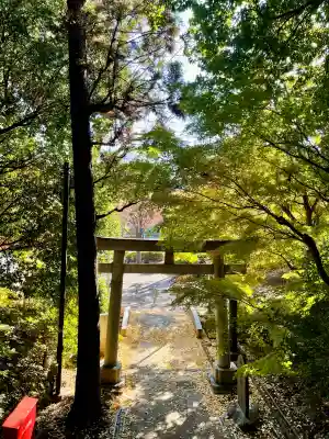 茅ヶ崎杉山神社(神奈川県)