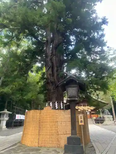 諏訪大社下社秋宮(長野県)