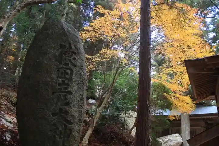 鹿島大神宮の自然
