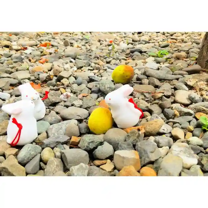 彌彦神社 (伊夜日子神社)のおみくじ