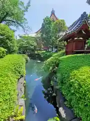 浅草寺の庭園