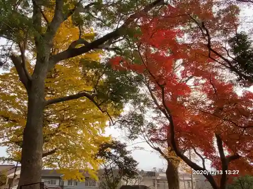 白岩神社の自然