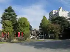 浅草神社の鳥居