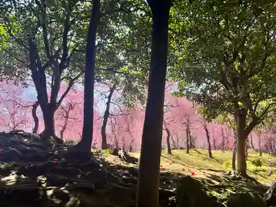 城南宮(京都府)