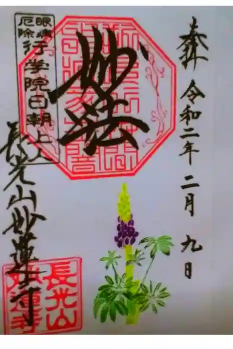 妙蓮寺の御朱印