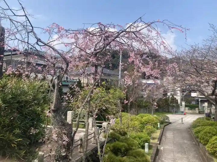 伝福寺の{uncategorized: "未分類", other: "その他", undefined: "問題あり", building: "その他建物", grave: "お墓", sacred_gate: "鳥居", guardian: "狛犬", statue: "像", buddha: "仏像", history: "歴史", nature: "自然", garden: "庭園", animal: "動物", pagoda: "塔", temizu: "手水舎", mountain_gate: "山門・神門", sanctuary: "本殿・本堂", subordinate: "末社・摂社", art: "芸術", scenery: "景色", jizo: "地蔵", ema: "絵馬", goshuin: "御朱印", omikuji: "おみくじ", items: "授与品その他", amulet: "お守り", goshuincho: "御朱印帳", eats: "食事", festival: "お祭り", votive_dance: "神楽", shichigosan: "七五三参", wedding: "結婚式", experience: "体験その他", initially: "初詣", around: "周辺", anti_infection: "感染症対策"}