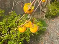 一乗院(京都府)