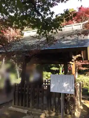 本土寺(千葉県)