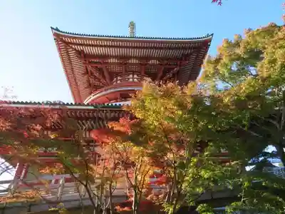 成田山新勝寺の塔