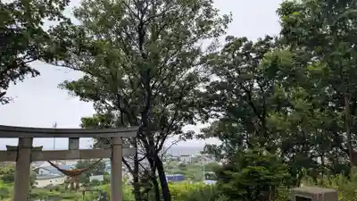 厳島神社の自然