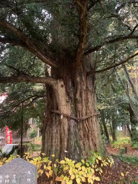 遍照寺(栃木県)