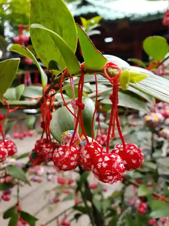 赤坂氷川神社(東京都)