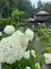 極楽寺(静岡県)
