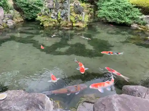滝沢寺(群馬県)