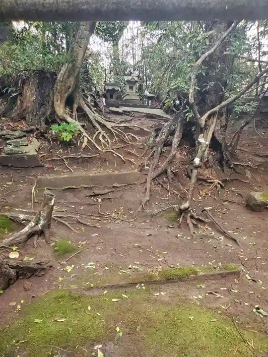 豊受皇大神宮の自然