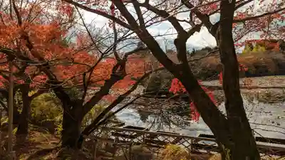 龍安寺(京都府)