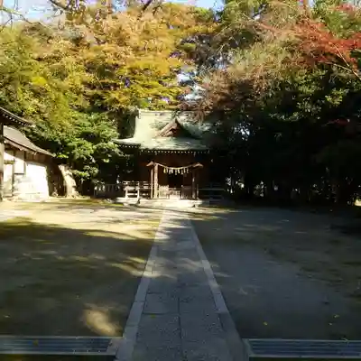 春日神社の本殿・本堂