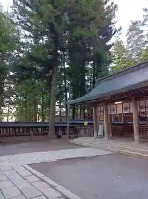 諏訪大社の本殿・本堂