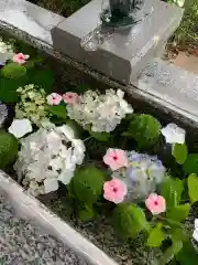 祖母井神社の手水