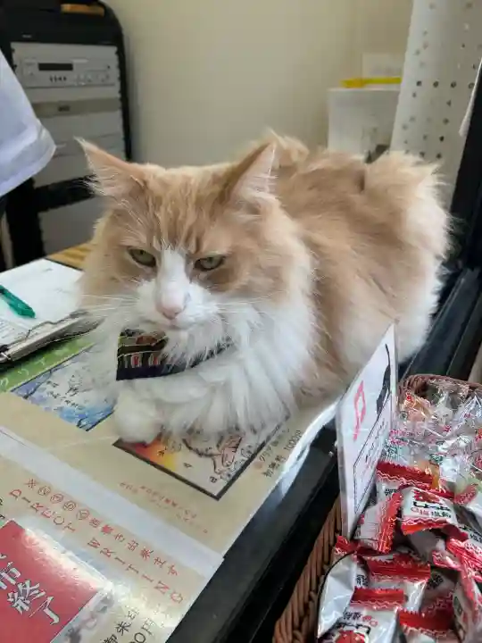 駒込妙義神社(東京都)