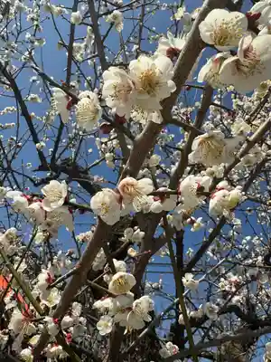 菅相寺(三重県)