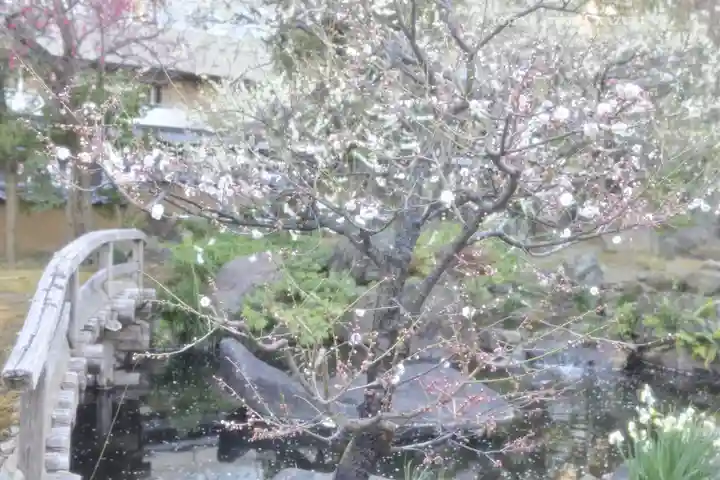 湯島天満宮(東京都)