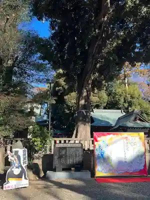 岩槻久伊豆神社(埼玉県)