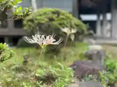 伊勢の国 四天王寺の自然