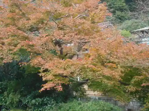 海蔵寺の景色