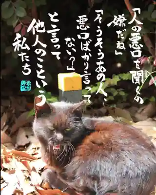 専念寺(大阪府)