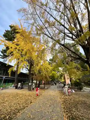 葛飾八幡宮(千葉県)