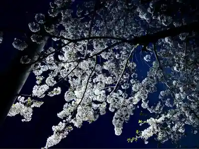 諏訪部神社(神奈川県)