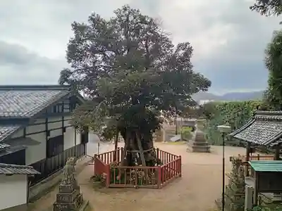 山王宮日吉神社(京都府)