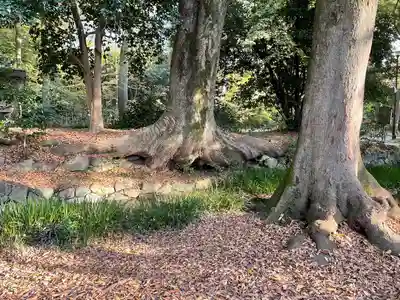 賀茂御祖神社（下鴨神社）(京都府)