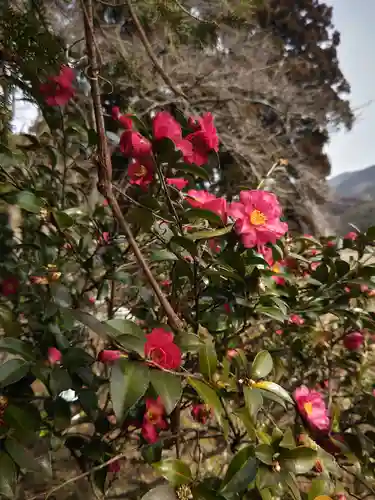高司神社〜むすびの神の鎮まる社〜(福島県)