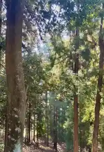 蚊里田八幡宮(長野県)(2025年03月28日(金) 11時22分03秒投稿)