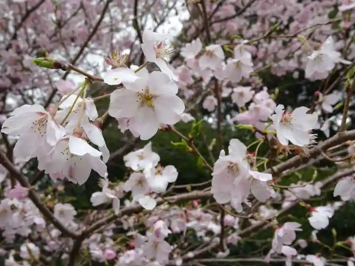阿邪訶根神社(福島県)