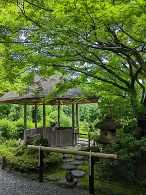 退蔵院(京都府)