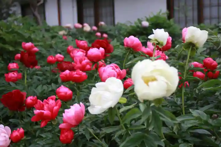 石光寺(奈良県)