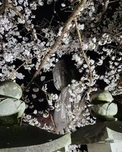 南法華寺（壷阪寺）(奈良県)