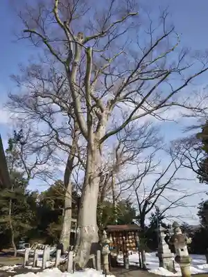 日吉神社(福島県)