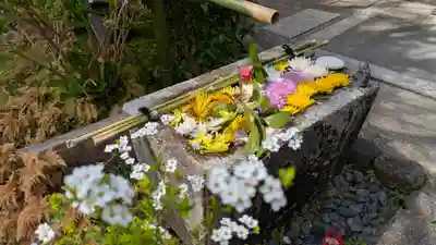 宝蔵寺(京都府)