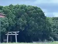 波照間御嶽の{uncategorized: "未分類", other: "その他", undefined: "問題あり", building: "その他建物", grave: "お墓", sacred_gate: "鳥居", guardian: "狛犬", statue: "像", buddha: "仏像", history: "歴史", nature: "自然", garden: "庭園", animal: "動物", pagoda: "塔", temizu: "手水舎", mountain_gate: "山門・神門", sanctuary: "本殿・本堂", subordinate: "末社・摂社", art: "芸術", scenery: "景色", jizo: "地蔵", ema: "絵馬", goshuin: "御朱印", omikuji: "おみくじ", items: "授与品その他", amulet: "お守り", goshuincho: "御朱印帳", eats: "食事", festival: "お祭り", votive_dance: "神楽", shichigosan: "七五三参", wedding: "結婚式", experience: "体験その他", initially: "初詣", around: "周辺", anti_infection: "感染症対策"}