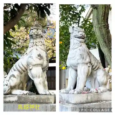 鳥越神社の狛犬