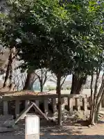 中野谷神社の{uncategorized: "未分類", other: "その他", undefined: "問題あり", building: "その他建物", grave: "お墓", sacred_gate: "鳥居", guardian: "狛犬", statue: "像", buddha: "仏像", history: "歴史", nature: "自然", garden: "庭園", animal: "動物", pagoda: "塔", temizu: "手水舎", mountain_gate: "山門・神門", sanctuary: "本殿・本堂", subordinate: "末社・摂社", art: "芸術", scenery: "景色", jizo: "地蔵", ema: "絵馬", goshuin: "御朱印", omikuji: "おみくじ", items: "授与品その他", amulet: "お守り", goshuincho: "御朱印帳", eats: "食事", festival: "お祭り", votive_dance: "神楽", shichigosan: "七五三参", wedding: "結婚式", experience: "体験その他", initially: "初詣", around: "周辺", anti_infection: "感染症対策"}