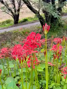 蚊里田八幡宮(長野県)(2025年09月17日(水) 13時13分25秒投稿)